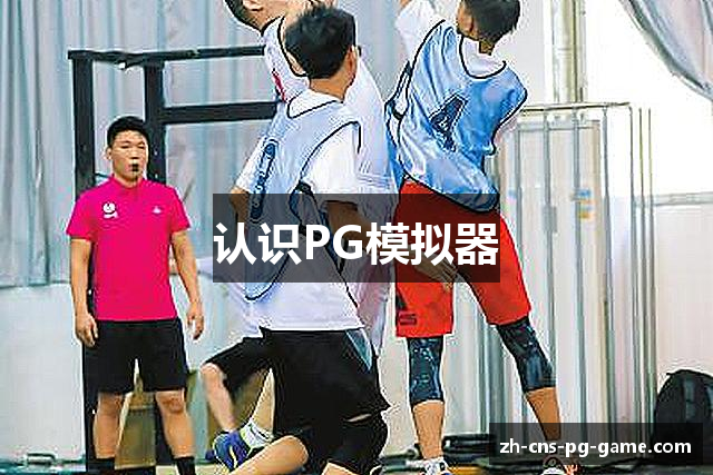 认识PG模拟器